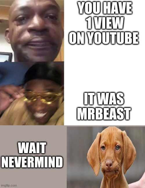 crying black man then golden glasses black man | YOU HAVE 1 VIEW ON YOUTUBE; IT WAS MRBEAST; WAIT NEVERMIND | image tagged in crying black man then golden glasses black man | made w/ Imgflip meme maker