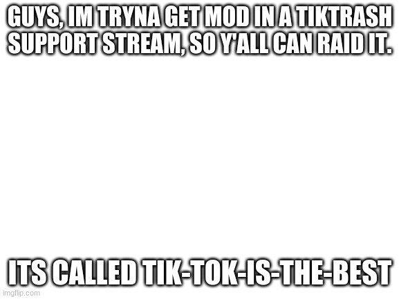 Blank White Template | GUYS, IM TRYNA GET MOD IN A TIKTRASH SUPPORT STREAM, SO Y'ALL CAN RAID IT. ITS CALLED TIK-TOK-IS-THE-BEST | image tagged in blank white template | made w/ Imgflip meme maker