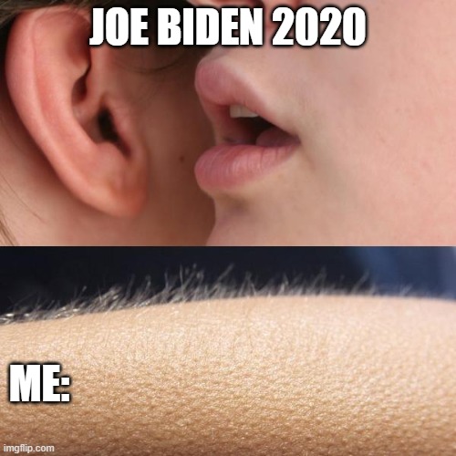 poopy biden | JOE BIDEN 2020; ME: | image tagged in whisper and goosebumps | made w/ Imgflip meme maker