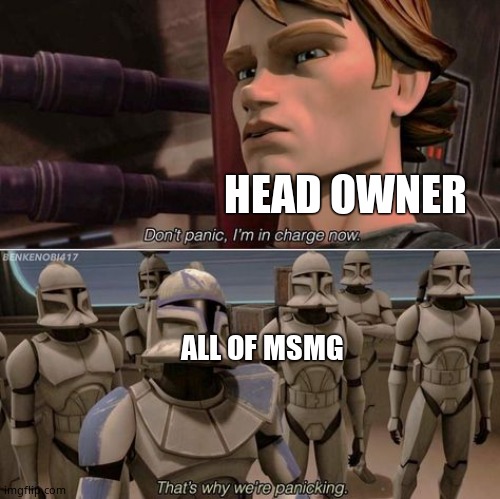 When there is a new, un proven head-owner | HEAD OWNER; ALL OF MSMG | image tagged in don't panic anakin | made w/ Imgflip meme maker