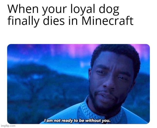 Sad days | image tagged in minecraft,loyal,dog,i am not ready to be without you | made w/ Imgflip meme maker