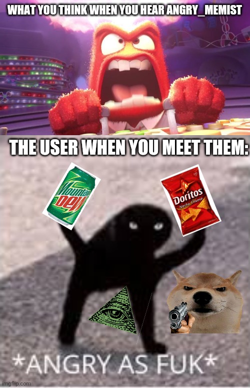 WHAT YOU THINK WHEN YOU HEAR ANGRY_MEMIST THE USER WHEN YOU MEET THEM: | image tagged in inside out anger,angery as fuk | made w/ Imgflip meme maker