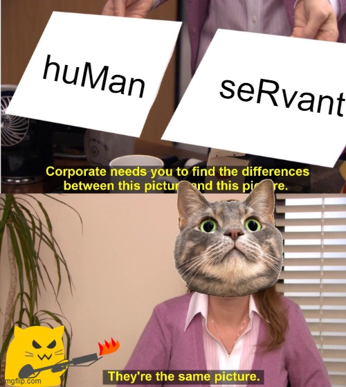 They're The Same Picture Meme | huMan; seRvant | image tagged in memes,they're the same picture | made w/ Imgflip meme maker