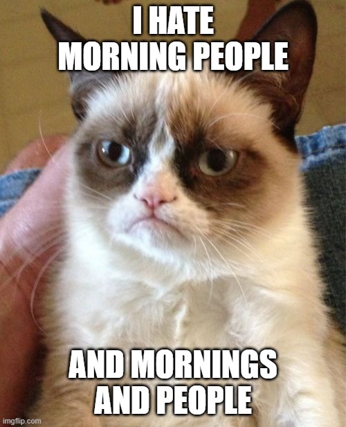 Grumpy Cat Meme | I HATE MORNING PEOPLE; AND MORNINGS AND PEOPLE | image tagged in memes,grumpy cat | made w/ Imgflip meme maker