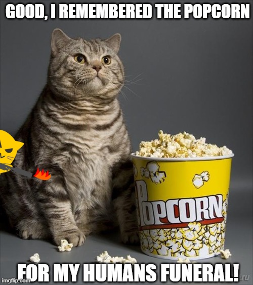 Cat eating popcorn | GOOD, I REMEMBERED THE POPCORN; FOR MY HUMANS FUNERAL! | image tagged in cat eating popcorn | made w/ Imgflip meme maker