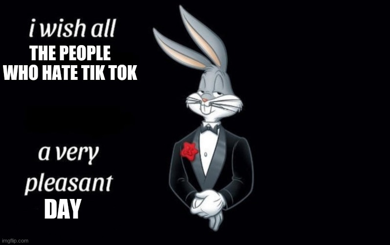I wish all the X a very pleasant Y | THE PEOPLE WHO HATE TIK TOK; DAY | image tagged in i wish all the x a very pleasant y,buggs,tiktok | made w/ Imgflip meme maker