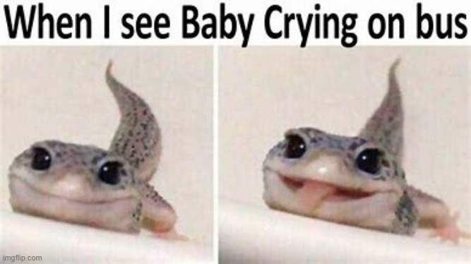 image tagged in toad,wholesome,cute | made w/ Imgflip meme maker