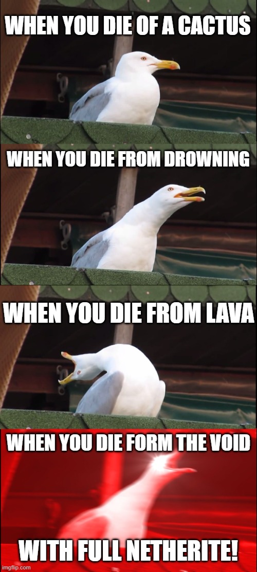 Inhaling Seagull Meme | WHEN YOU DIE OF A CACTUS; WHEN YOU DIE FROM DROWNING; WHEN YOU DIE FROM LAVA; WHEN YOU DIE FORM THE VOID; WITH FULL NETHERITE! | image tagged in memes,inhaling seagull | made w/ Imgflip meme maker