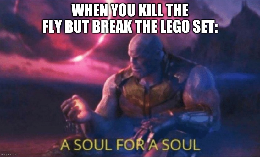 A soul for a soul | WHEN YOU KILL THE FLY BUT BREAK THE LEGO SET: | image tagged in a soul for a soul | made w/ Imgflip meme maker