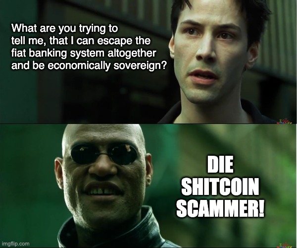 neo trying to tell me | What are you trying to tell me, that I can escape the fiat banking system altogether and be economically sovereign? DIE SHITCOIN SCAMMER! | image tagged in neo trying to tell me,btc | made w/ Imgflip meme maker