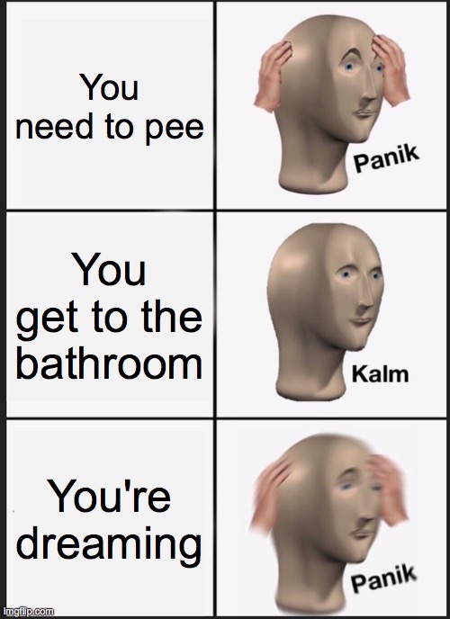 Panik Kalm Panik | You need to pee; You get to the bathroom; You're dreaming | image tagged in memes,panik kalm panik | made w/ Imgflip meme maker