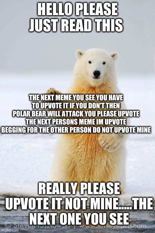 i need you to upvote the next meme you see | HELLO PLEASE JUST READ THIS; THE NEXT MEME YOU SEE YOU HAVE TO UPVOTE IT IF YOU DON'T THEN POLAR BEAR WILL ATTACK YOU PLEASE UPVOTE THE NEXT PERSONS MEME IM UPVOTE BEGGING FOR THE OTHER PERSON DO NOT UPVOTE MINE; REALLY PLEASE UPVOTE IT NOT MINE.....THE NEXT ONE YOU SEE | image tagged in hello polar bear | made w/ Imgflip meme maker