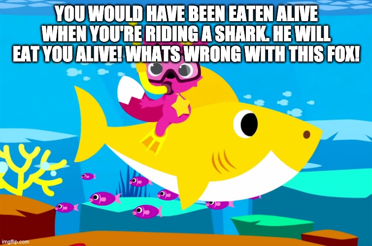 Pinkfong Fox riding on a shark is illegal! | YOU WOULD HAVE BEEN EATEN ALIVE WHEN YOU'RE RIDING A SHARK. HE WILL EAT YOU ALIVE! WHATS WRONG WITH THIS FOX! | image tagged in ho no baby shark,wait thats illegal | made w/ Imgflip meme maker