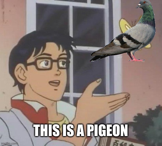 Is This A Pigeon | THIS IS A PIGEON | image tagged in memes,is this a pigeon | made w/ Imgflip meme maker