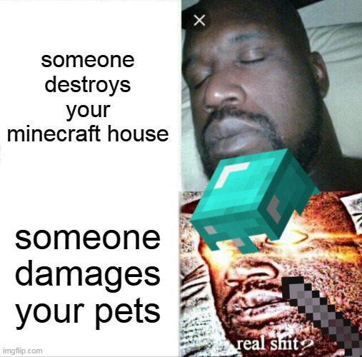 haha death go Brrrr | someone destroys your minecraft house; someone damages your pets | image tagged in minecraft | made w/ Imgflip meme maker