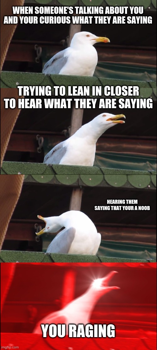 Crazy Seagull | WHEN SOMEONE'S TALKING ABOUT YOU AND YOUR CURIOUS WHAT THEY ARE SAYING; TRYING TO LEAN IN CLOSER TO HEAR WHAT THEY ARE SAYING; HEARING THEM SAYING THAT YOUR A NOOB; YOU RAGING | image tagged in memes,inhaling seagull | made w/ Imgflip meme maker