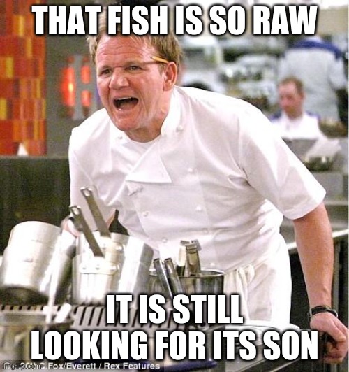 Chef Gordon Ramsay | THAT FISH IS SO RAW; IT IS STILL LOOKING FOR ITS SON | image tagged in memes,chef gordon ramsay | made w/ Imgflip meme maker