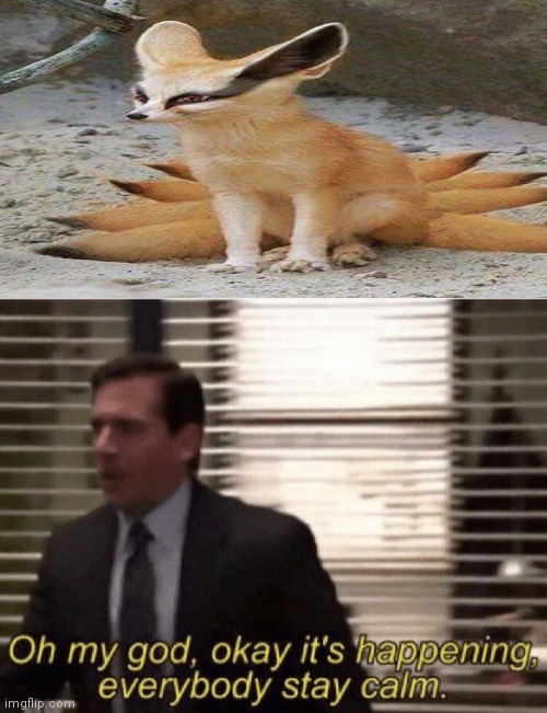 Oh my god,okay it's happening,everybody stay calm | image tagged in oh my god okay it's happening everybody stay calm | made w/ Imgflip meme maker
