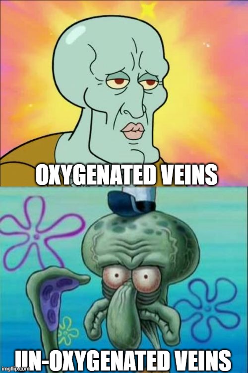 Squidward | OXYGENATED VEINS; UN-OXYGENATED VEINS | image tagged in memes,squidward | made w/ Imgflip meme maker