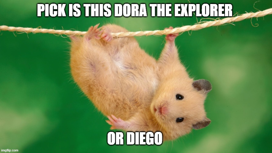i had to meme it | PICK IS THIS DORA THE EXPLORER; OR DIEGO | image tagged in hangede hamster | made w/ Imgflip meme maker
