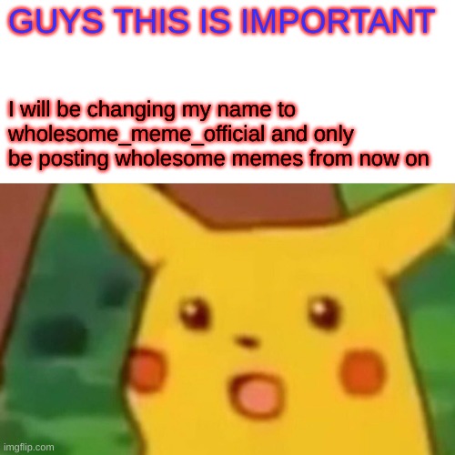 LISTEN UP NUBS | GUYS THIS IS IMPORTANT; I will be changing my name to wholesome_meme_official and only be posting wholesome memes from now on | image tagged in memes,surprised pikachu | made w/ Imgflip meme maker