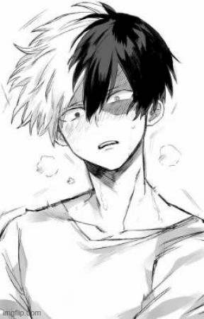 OMG i think i ship todobaku!!! | image tagged in gifs | made w/ Imgflip images-to-gif maker