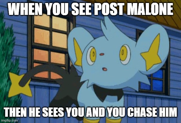 When you see your favorite celeb | WHEN YOU SEE POST MALONE; THEN HE SEES YOU AND YOU CHASE HIM | image tagged in running shinx | made w/ Imgflip meme maker