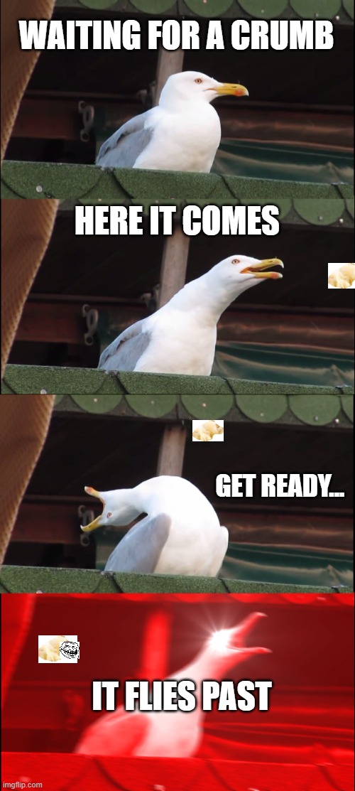 Inhaling Seagull Meme | WAITING FOR A CRUMB; HERE IT COMES; GET READY... IT FLIES PAST | image tagged in memes,inhaling seagull | made w/ Imgflip meme maker