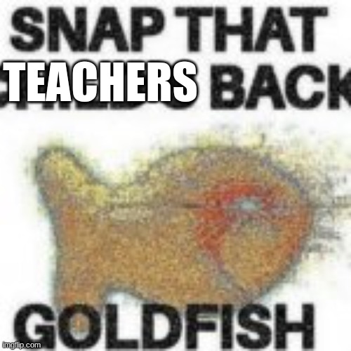 TEACHERS | made w/ Imgflip meme maker