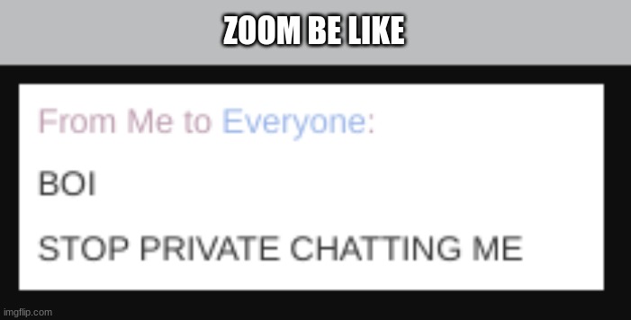 ZOOM BE LIKE | image tagged in zoom | made w/ Imgflip meme maker