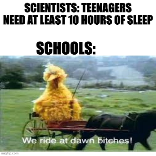 schools be like | SCIENTISTS: TEENAGERS NEED AT LEAST 10 HOURS OF SLEEP; SCHOOLS: | image tagged in we ride at dawn bitches,big bird | made w/ Imgflip meme maker
