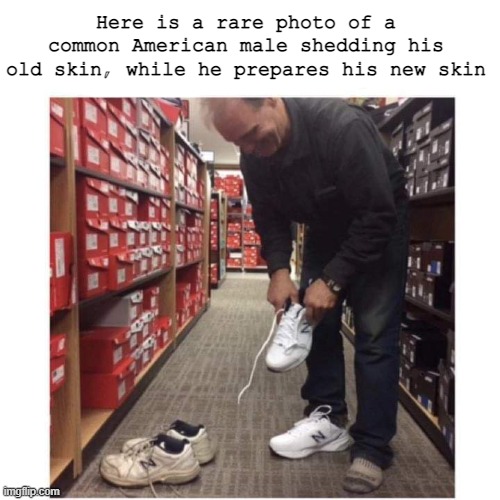 Life in it's finest form | Here is a rare photo of a common American male shedding his old skin, while he prepares his new skin | image tagged in shoes,ok meme,meme,funny ig | made w/ Imgflip meme maker