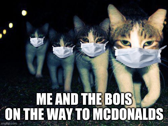 the bois ready to go to mickeyds | ME AND THE BOIS ON THE WAY TO MCDONALD'S | image tagged in memes,wrong neighboorhood cats | made w/ Imgflip meme maker