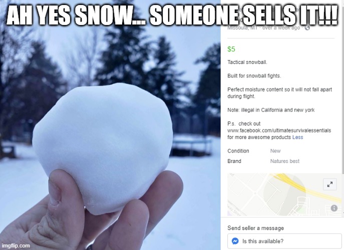 who sells this stuff | AH YES SNOW... SOMEONE SELLS IT!!! | image tagged in meanwhile in missoula montana | made w/ Imgflip meme maker