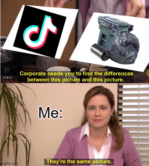 Tik tok is garbage | Me: | image tagged in memes,they're the same picture | made w/ Imgflip meme maker