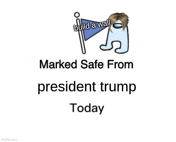 Marked Safe From | build a wall; president trump | image tagged in memes,marked safe from | made w/ Imgflip meme maker