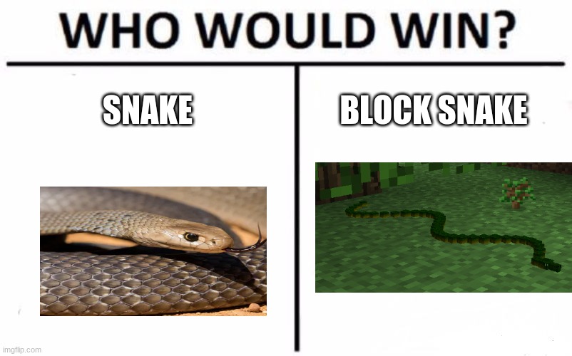Who Would Win? Meme | SNAKE; BLOCK SNAKE | image tagged in memes,who would win | made w/ Imgflip meme maker