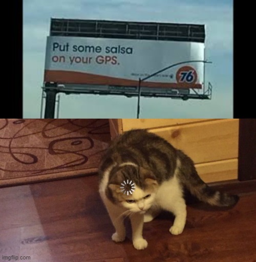 post more confusing images in the comments | image tagged in buffering cat | made w/ Imgflip meme maker