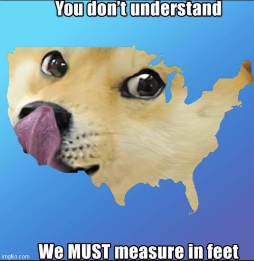 My planet be like | image tagged in doge,america | made w/ Imgflip meme maker