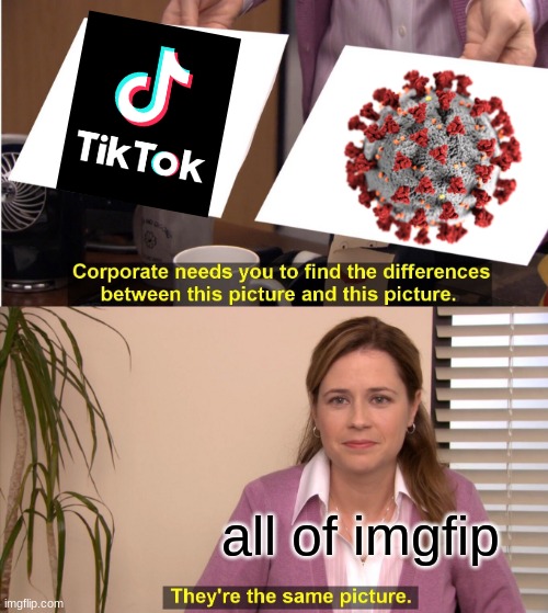 o | all of imgfip | image tagged in memes,they're the same picture | made w/ Imgflip meme maker