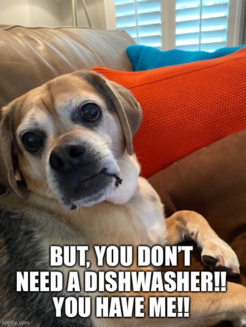 If dogs could talk | BUT, YOU DON’T NEED A DISHWASHER!! YOU HAVE ME!! | image tagged in imgflip | made w/ Imgflip meme maker