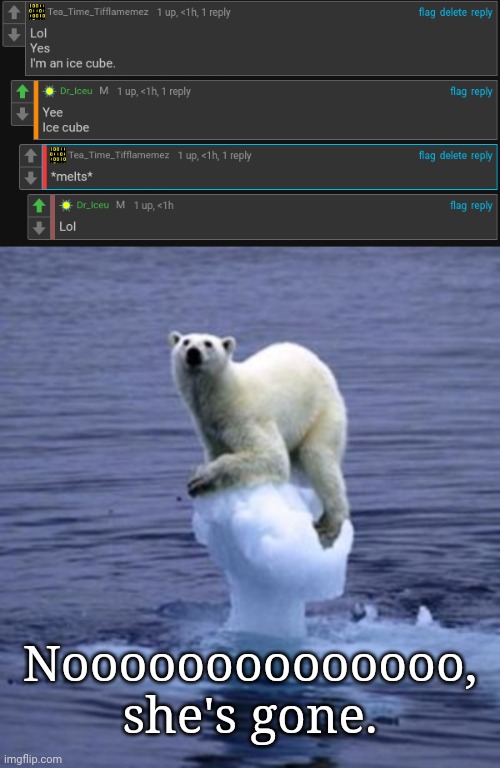 The human ice cube has melted completely. | Noooooooooooooo, she's gone. | image tagged in melting ice polar bear,comments,comment,comment section,memes,melting | made w/ Imgflip meme maker