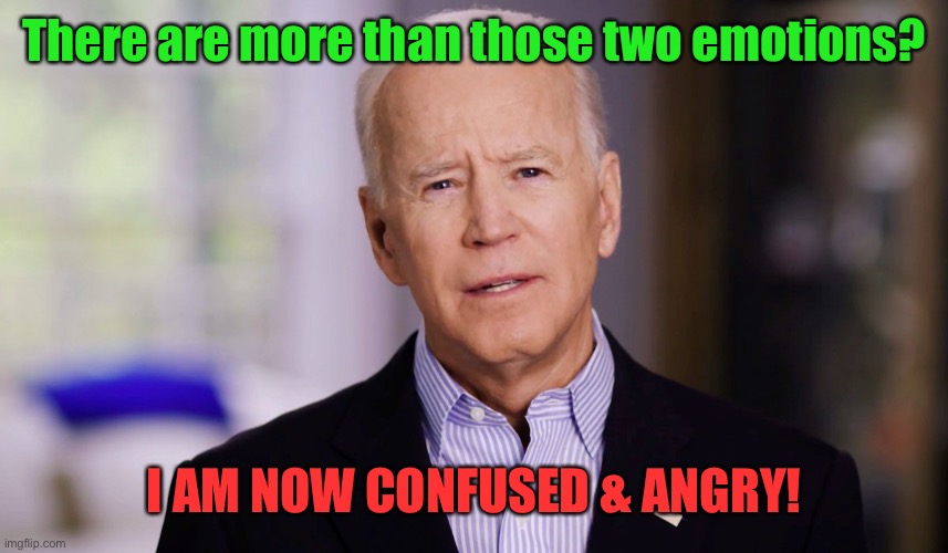 Joe Biden 2020 | There are more than those two emotions? I AM NOW CONFUSED & ANGRY! | image tagged in joe biden 2020 | made w/ Imgflip meme maker