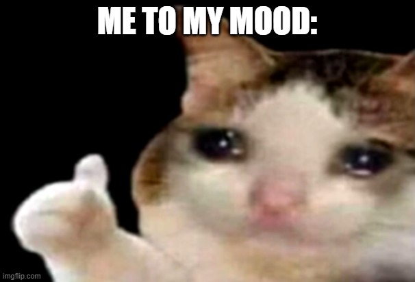 ME TO MY MOOD: | image tagged in sad cat thumbs up | made w/ Imgflip meme maker