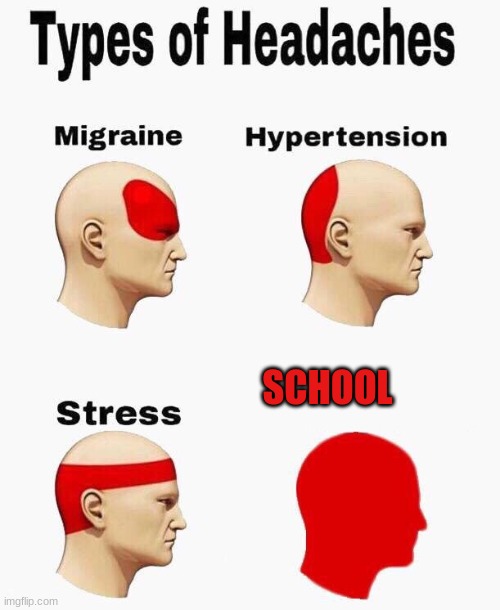 Headaches | SCHOOL | image tagged in headaches | made w/ Imgflip meme maker