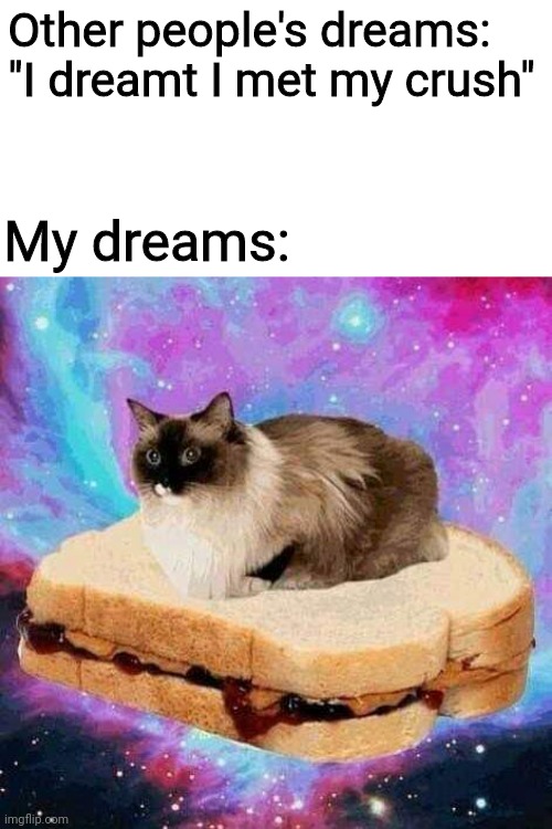 In reality, my dreams aren't this weird...usually... | Other people's dreams: "I dreamt I met my crush"; My dreams: | image tagged in peanut butter and jelly cat in space,dreams,weird dreams,sleep,lol,haha | made w/ Imgflip meme maker