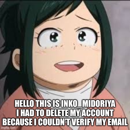 Srry | HELLO THIS IS INKO_MIDORIYA I HAD TO DELETE MY ACCOUNT BECAUSE I COULDN’T VERIFY MY EMAIL | image tagged in inko | made w/ Imgflip meme maker