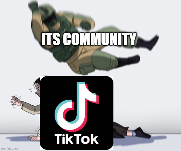 TikTok has a bad community | ITS COMMUNITY | image tagged in rainbow six - fuze the hostage,tiktok | made w/ Imgflip meme maker