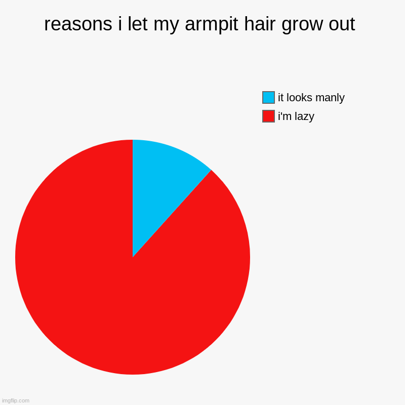 reasons i let my armpit hair grow out | i'm lazy, it looks manly | image tagged in charts,pie charts | made w/ Imgflip chart maker