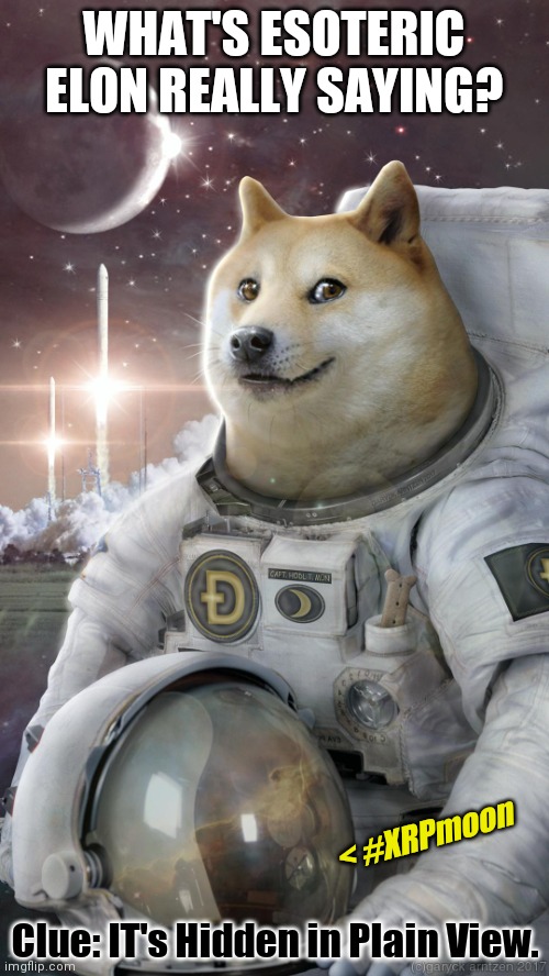 SpaceX launching Validator Nodes on Starlink Satellites for Quantum Financial System? Moon Phase: Prepare to Blast Off! #GoldQFS | WHAT'S ESOTERIC ELON REALLY SAYING? < #XRPmoon; Clue: IT's Hidden in Plain View. | image tagged in xrp moon,advice doge,xrp,elon musk laughing,the golden rule,quantum leap | made w/ Imgflip meme maker